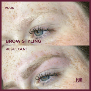 BROW STYLING epileren wenkbrauwen verven waxen puur huidinstituut schoonheidsspecialist